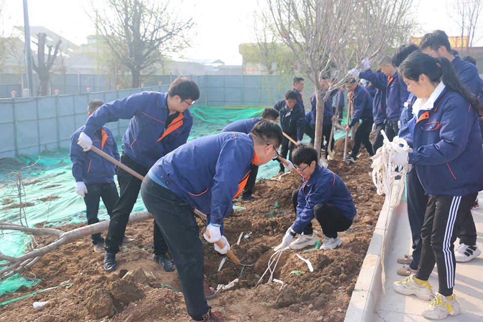 常州工廠植樹(shù)