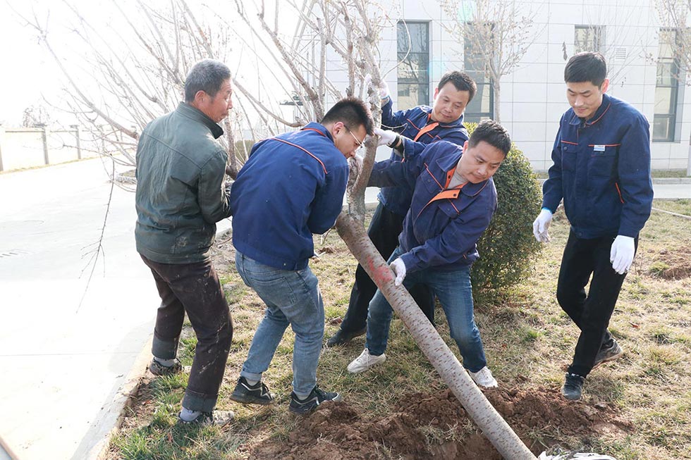 沖床工廠植樹(shù)種樹(shù)